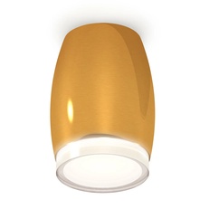 Изображение Комплект накладного светильника с акрилом XS1125021 PYG/FR/CL золото желтое полированное/белый матовый/прозрачный MR16 GU5.3 (C1125, N7160)