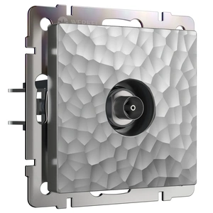 Изображение ТВ-розетка оконечная (серебряный) W1283006