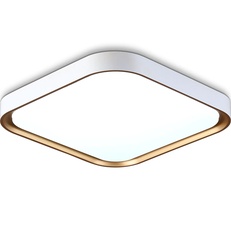 Изображение Потолочный светодиодный светильник FZ1253 WH/GD белый/золото 18W 5000K 250*250*60 (Без ПДУ)