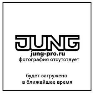 Изображение Вывод кабеля с суппортом A Flow шампань A590ACH Jung