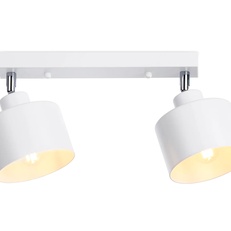 Изображение Настенно-потолочный спот в стиле лофт TR8141/2  WH белый E27*2 max 40W 340*120*180