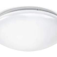 Изображение Светильник с датчиком движения ESYLUX ELLEN WCL 300 OP 1200 830 IP44 MD (EO10850080)