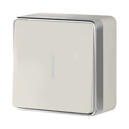 Слоновая кость изображение