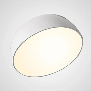 Изображение Потолочный Светильник Selden D30 White By Imperiumloft