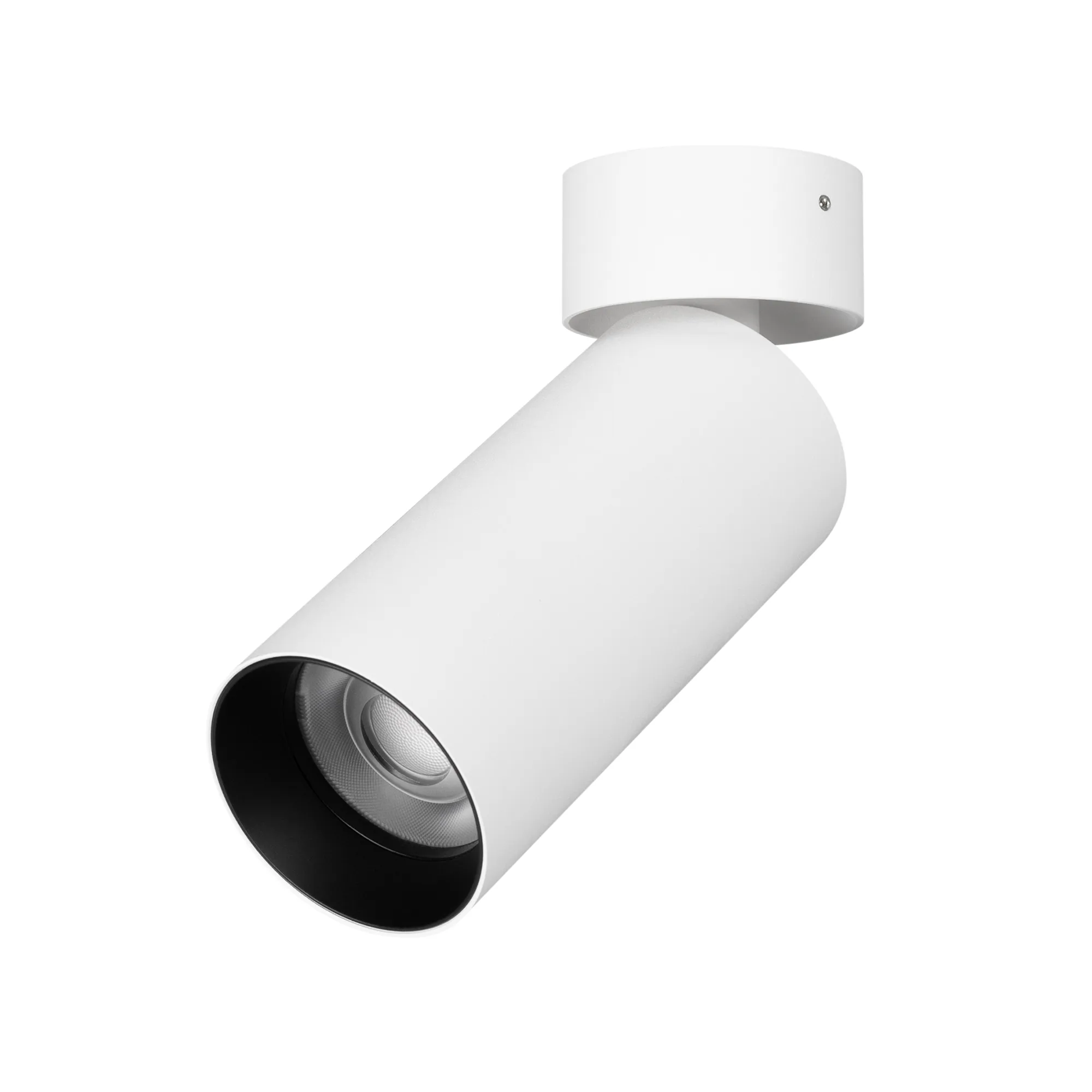 Светильник SP-GABI-SURFACE-FLAP-R50-9W Day4000 (WH, 36 deg, 230V) (Arlight, IP40 Металл, 5 лет) - Изображение