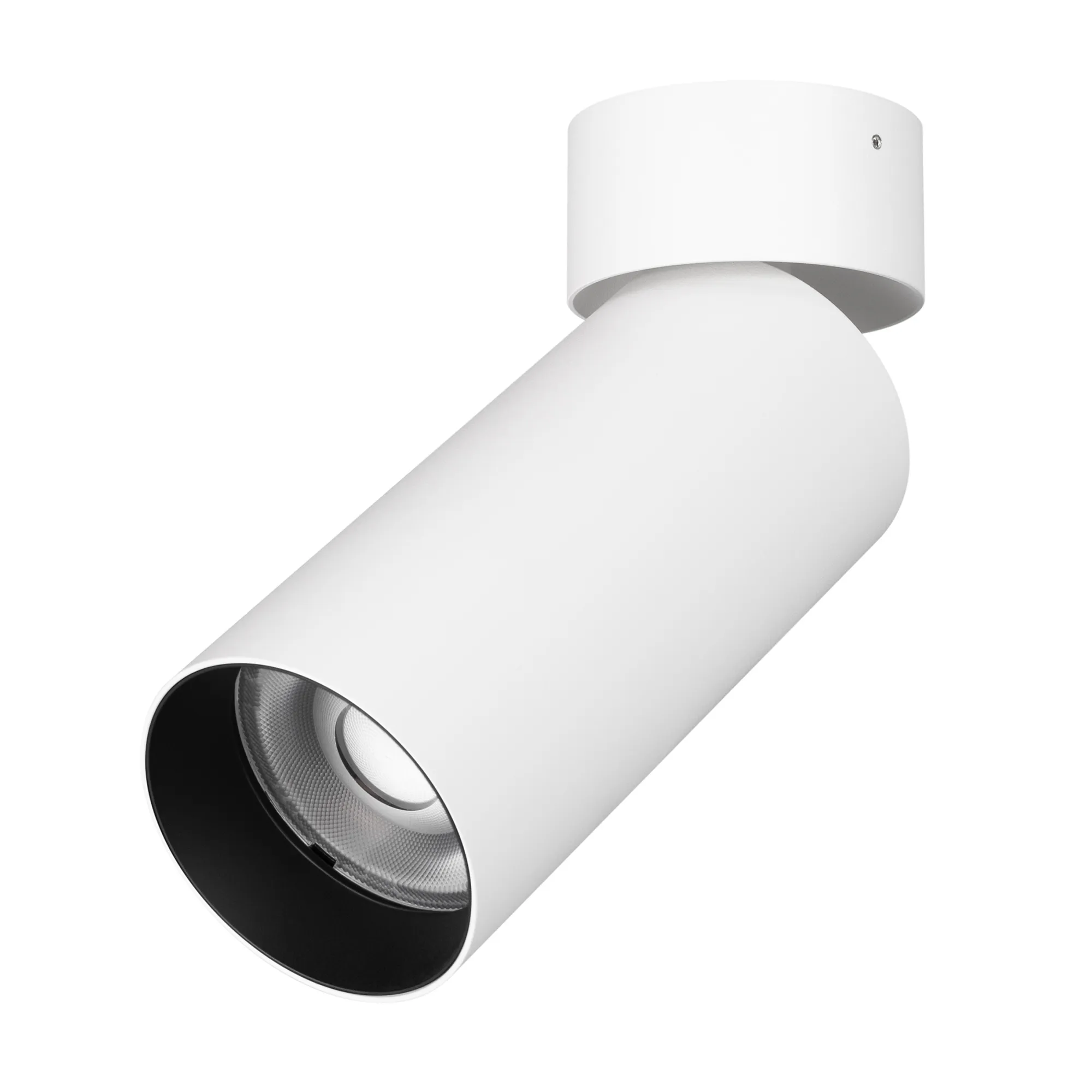 Светильник SP-GABI-SURFACE-FLAP-R60-12W Day4000 (WH, 36 deg, 230V) (Arlight, IP40 Металл, 5 лет) - Изображение